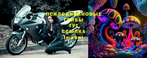 меф Богородицк