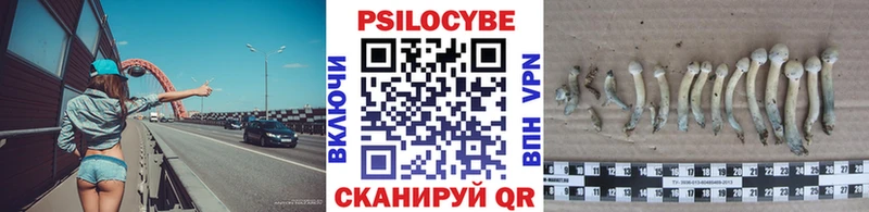 Псилоцибиновые грибы прущие грибы  Ковров 